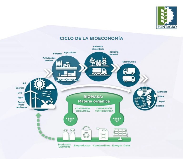 El Ciclo De La Bioeconom A Fontagro