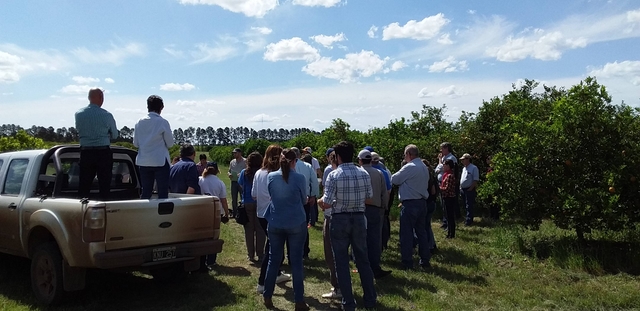 Family farming facing HLB threat project launching