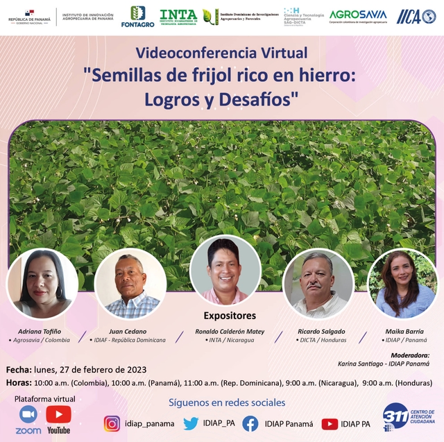 Videoconferencia Virtual "Semillas de frijol rico en hierro: logros y desafíos"