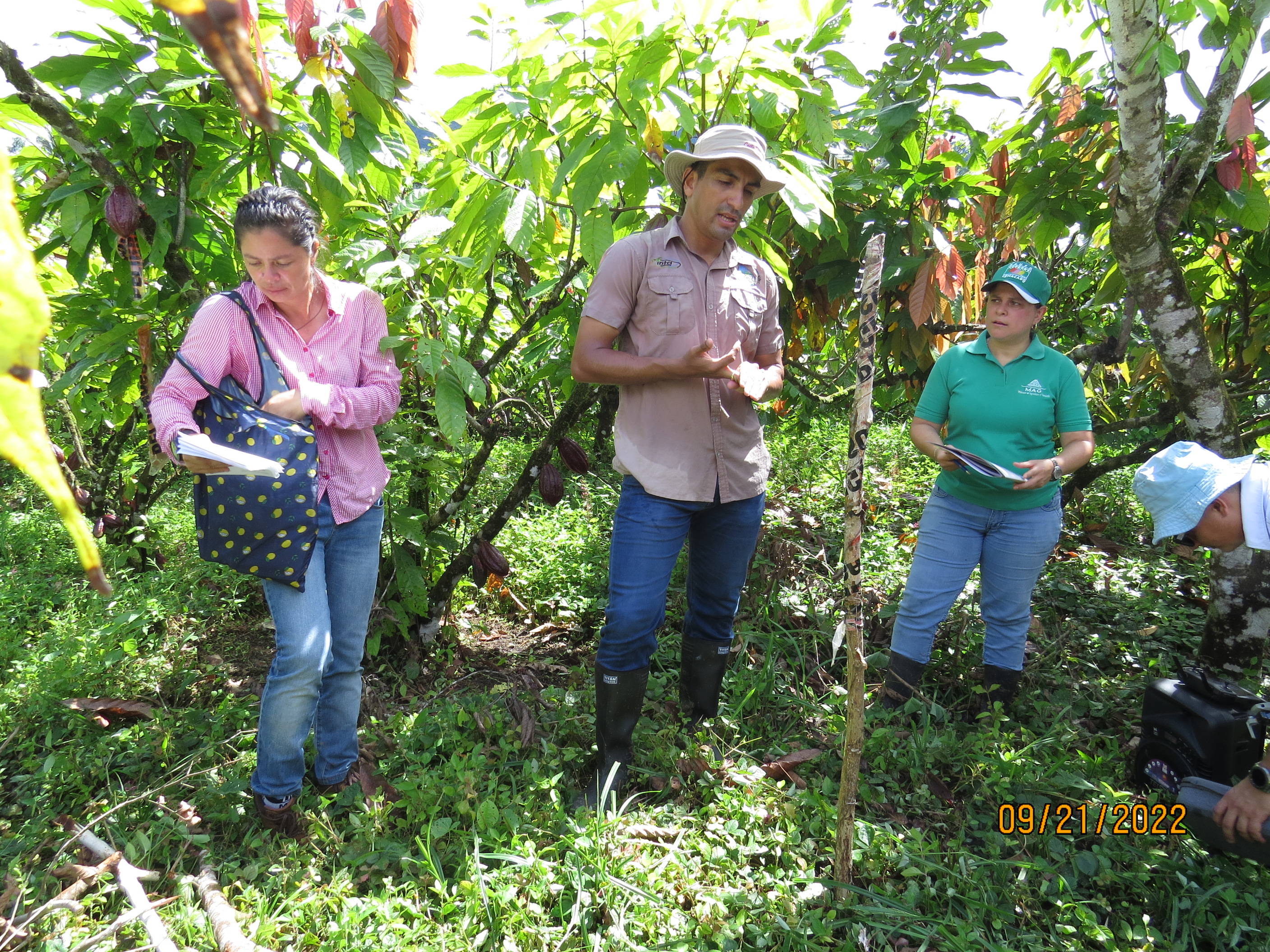 Capacitan a 347 mujeres en la producción de cacao en tres países