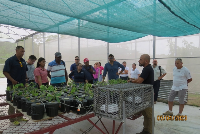 Misión Técnica de Ecuador, técnicos y productores visitan investigaciones de cacao del INTA en Costa Rica