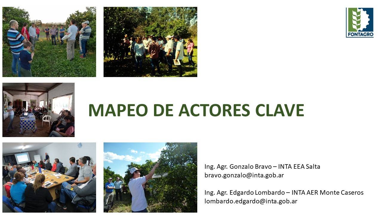 Se realizó una capacitación metodológica y práctica sobre “mapeo de actores claves” en la citricultura