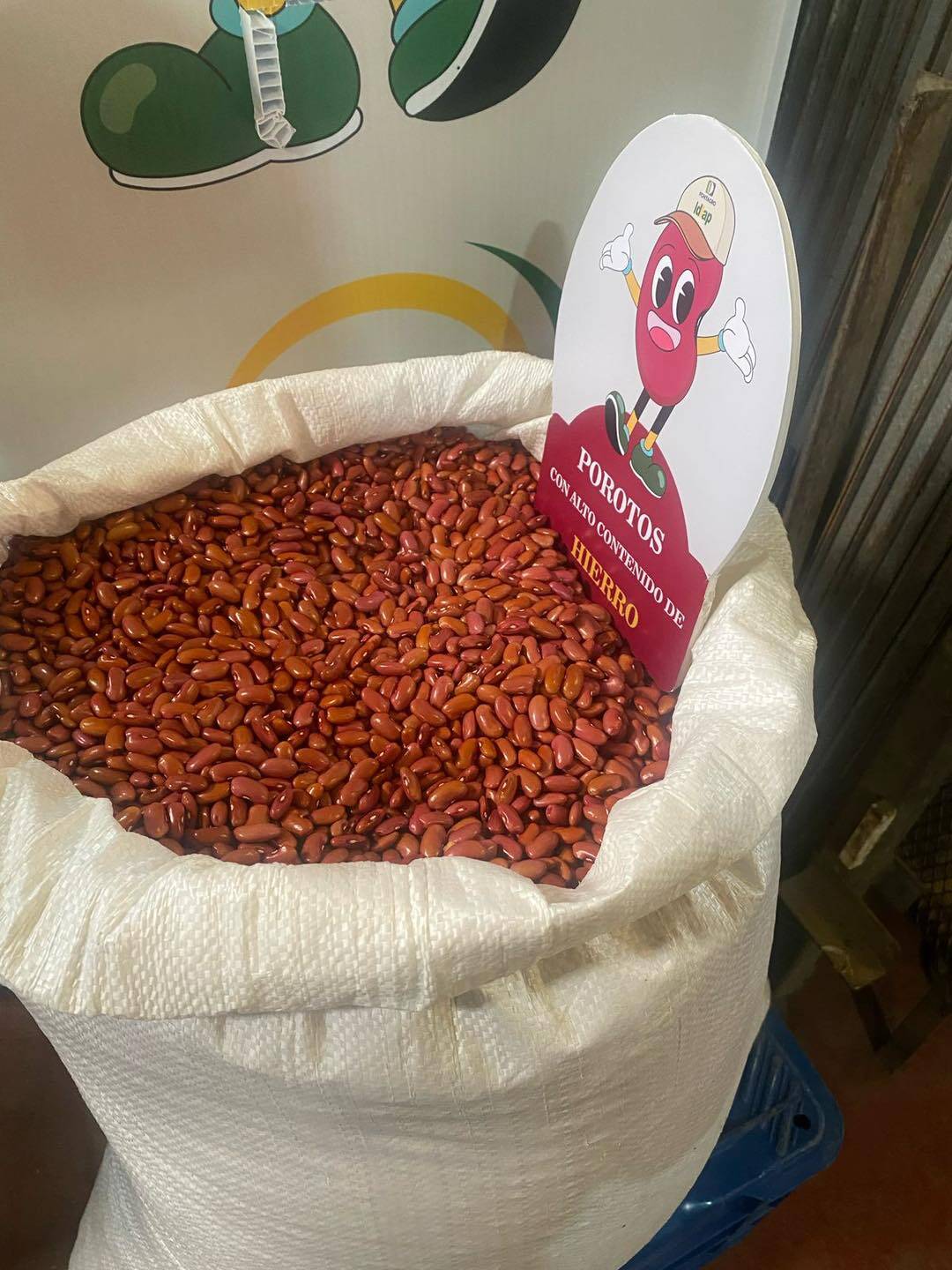 Estudio de Mercadeo de frijol rico en hierro en Panamá