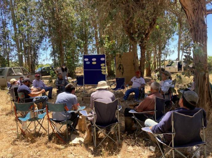 Workshop to evaluate the cultivation strategy in each practice plot with the Participatory Innovation Groups (GIP) Ñuble