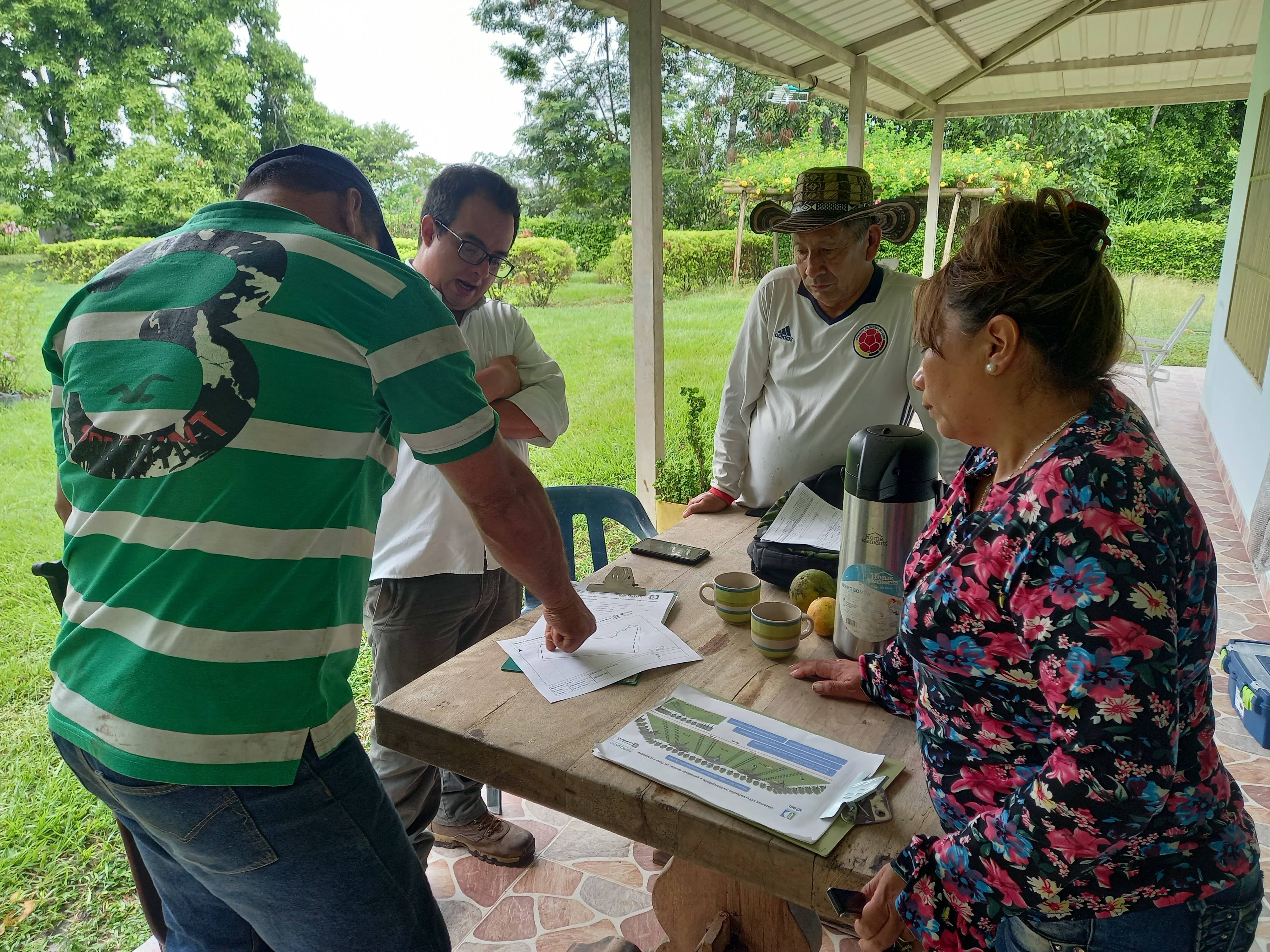 The establishment of multipurpose silvopastoral systems advances on small livestock farms in Colombia and Peru