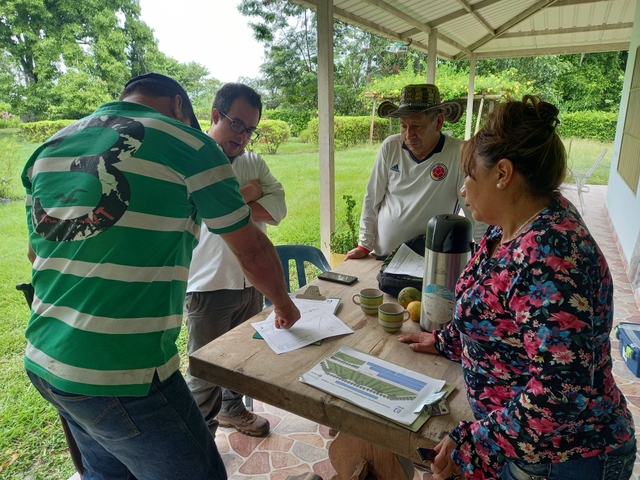 The establishment of multipurpose silvopastoral systems advances on small livestock farms in Colombia and Peru