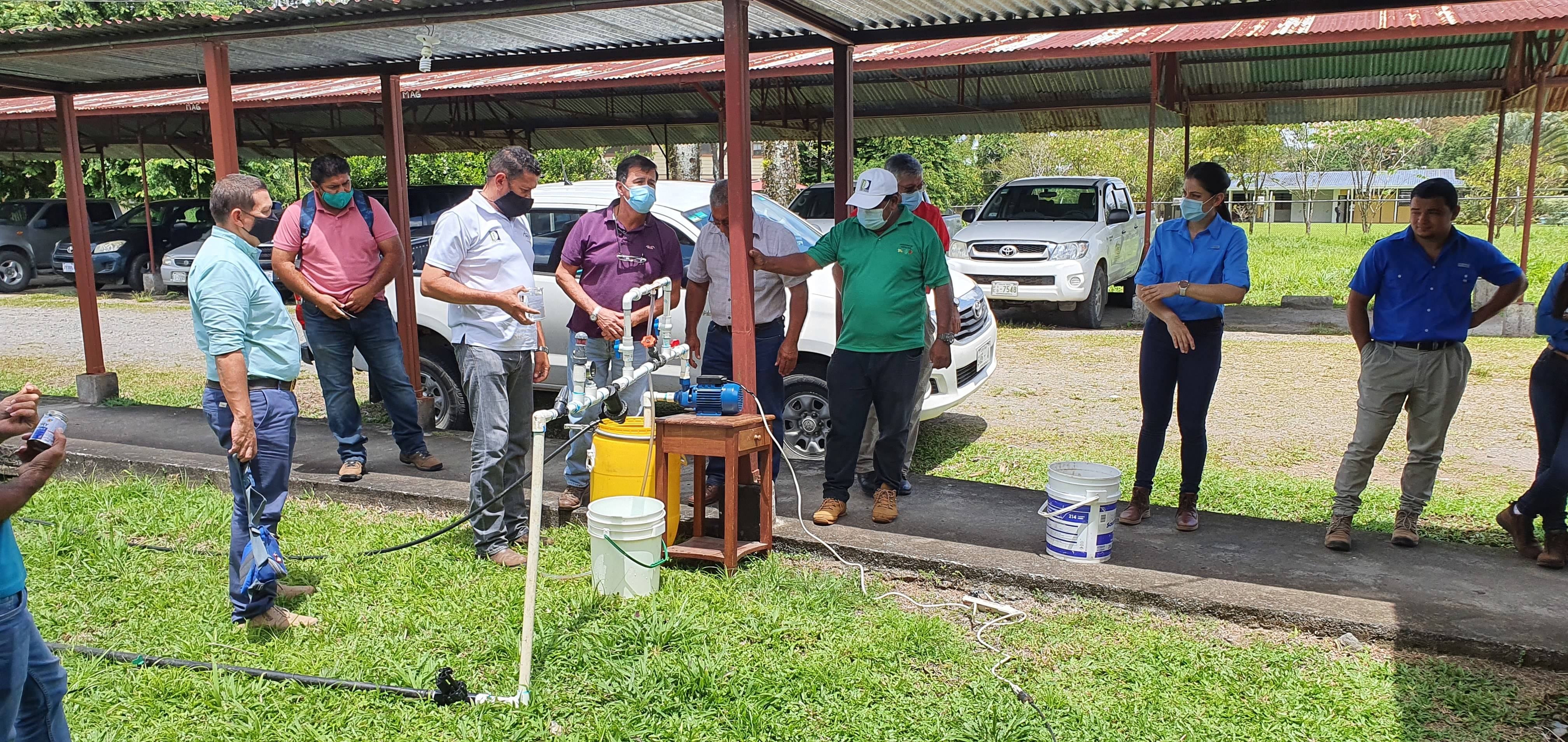 Taller: producción de hortalizas en ambientes protegidos