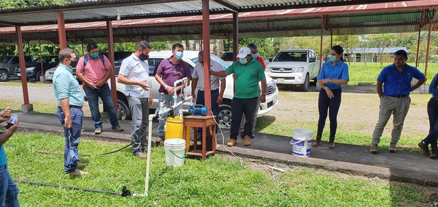 Taller: producción de hortalizas en ambientes protegidos