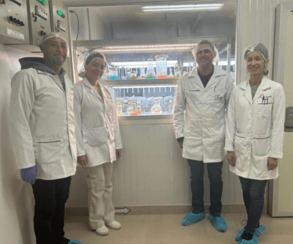 Scientific Exchange Strengthens Gene Editing in Potatoes Across Latin America