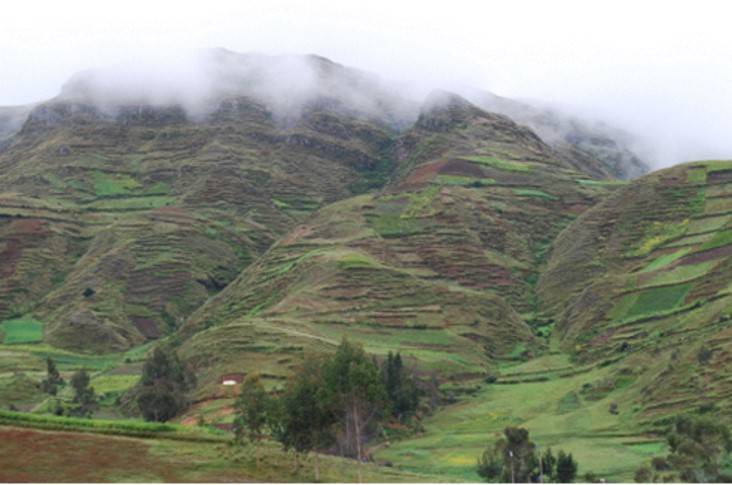 Significance of potato biodiversity and other crops in the Andes of Bolivia