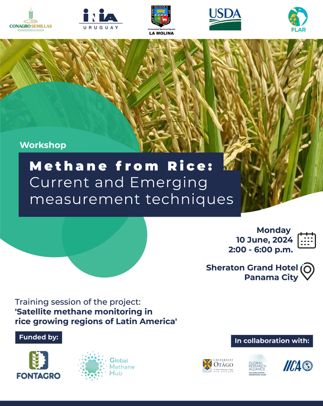 Workshop: Methane from Rice: Current and Emerging measurement techniques