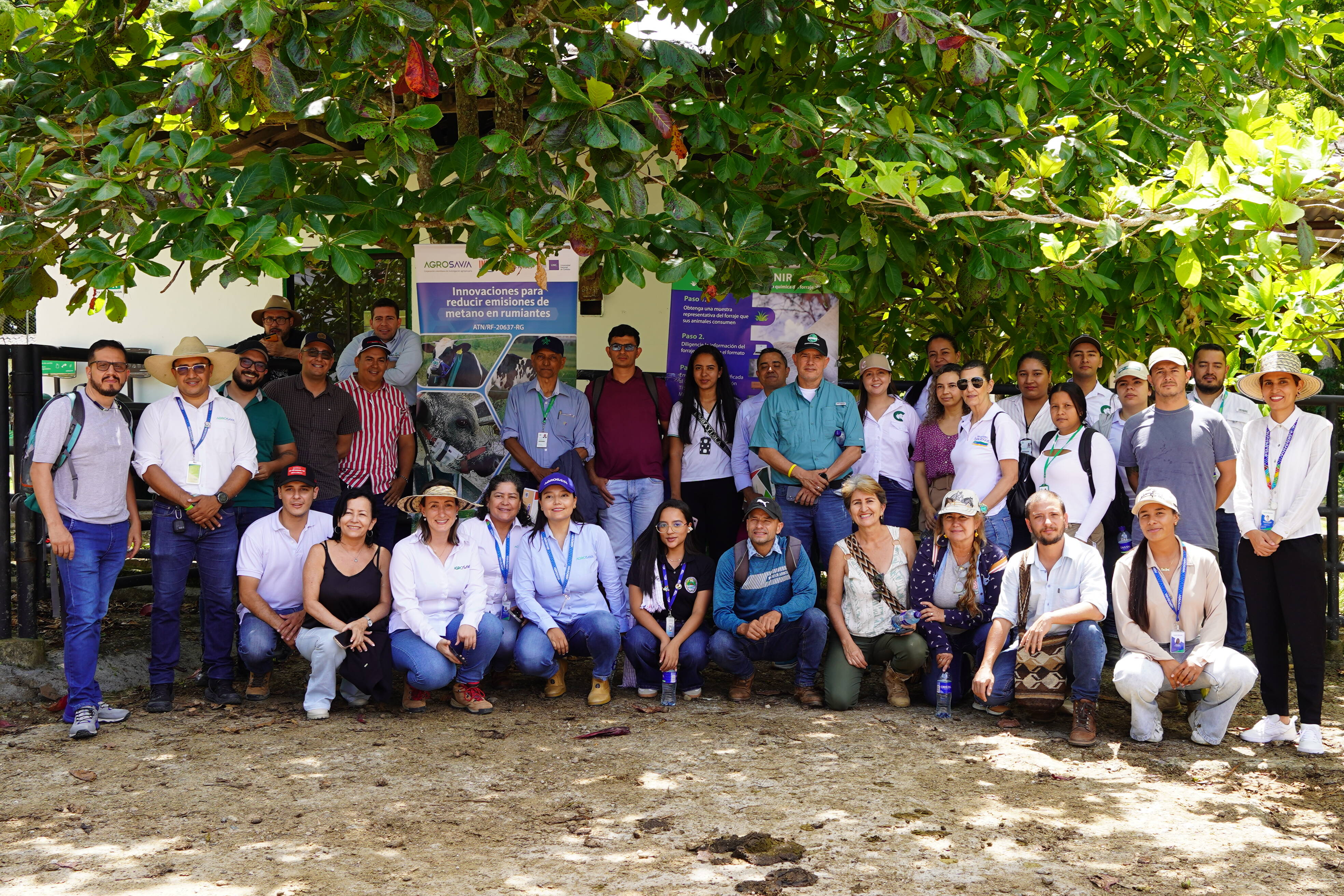 Third workshop on technologies to mitigate methane in pasture-based livestock farming