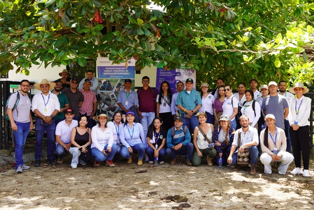 Third workshop on technologies to mitigate methane in pasture-based livestock farming