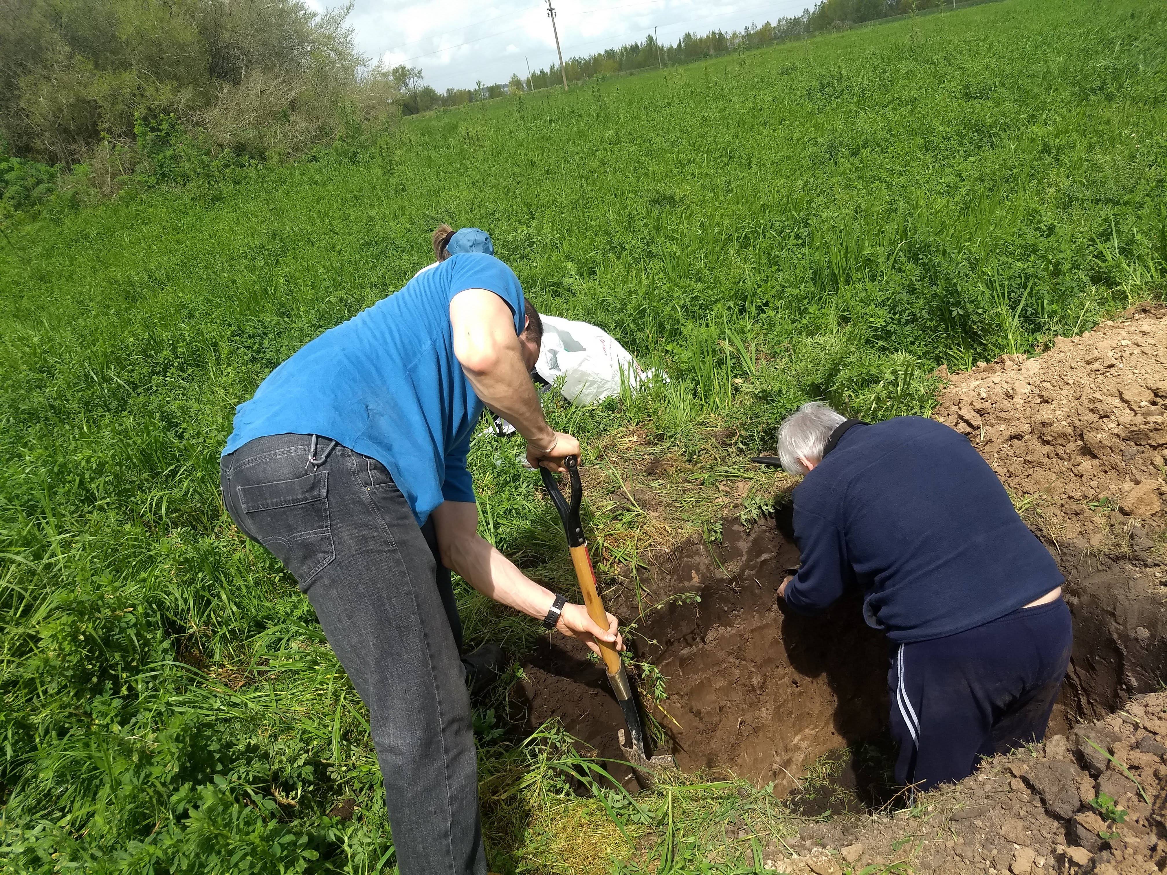 Carbon stock sampling in Chascomús, Argentina