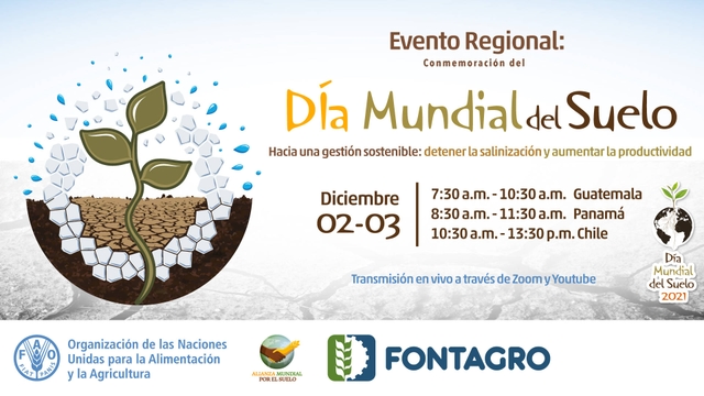 December 2 and 3: virtual event for World Soil Day