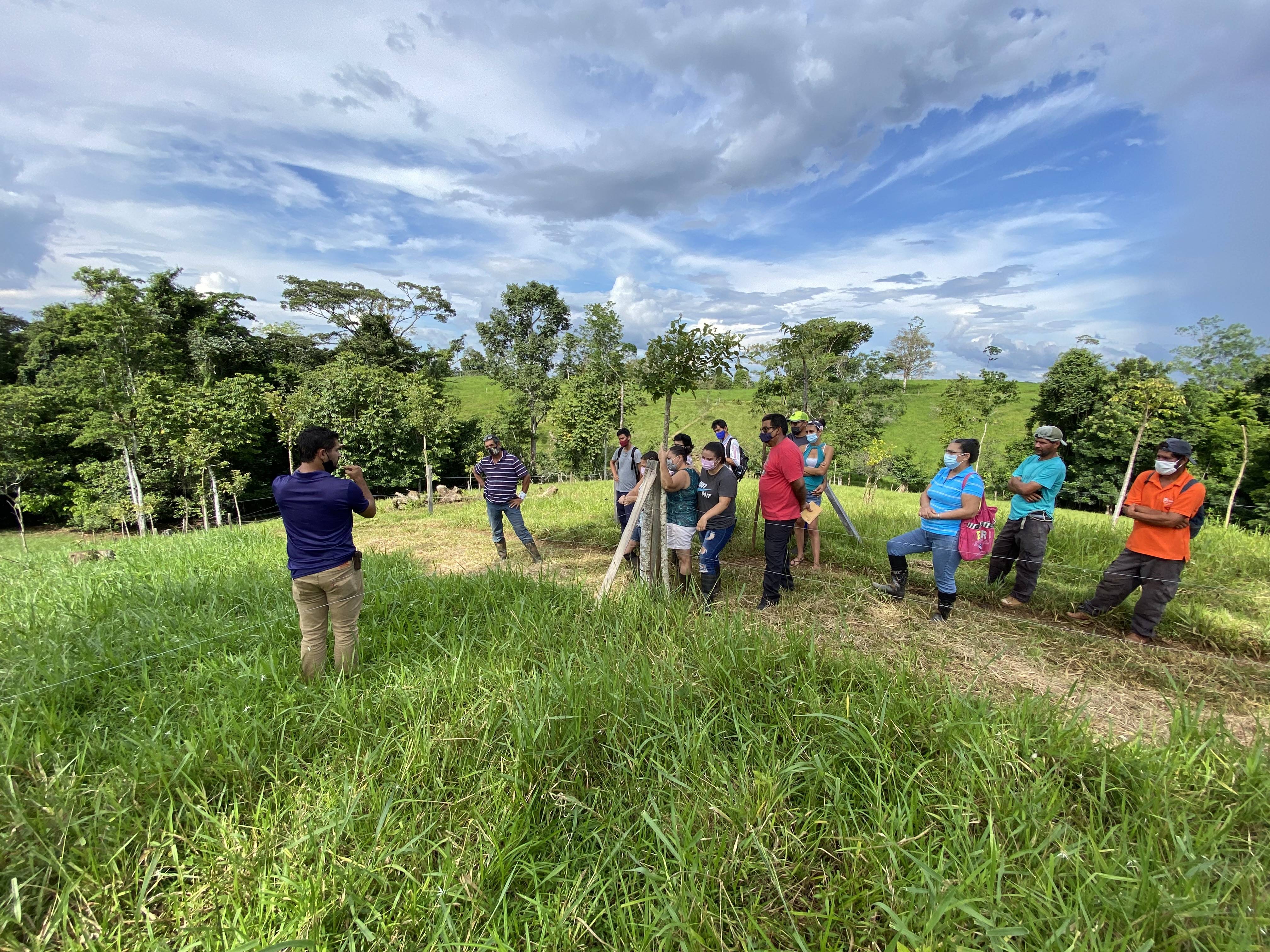 Trabajos de validación en finca - COSTA RICA