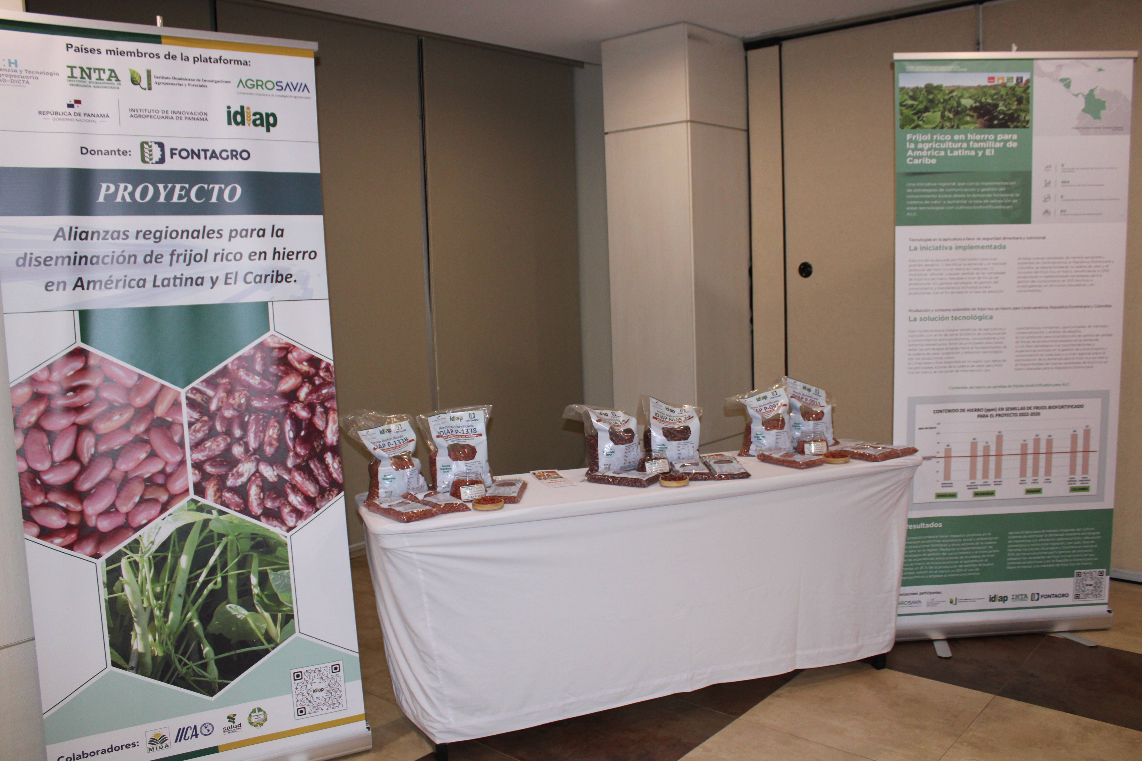 “Cadena de valor para frijol rico en hierro: levantamiento de línea base a empresas empacadoras o agroindustrias de Panamá”