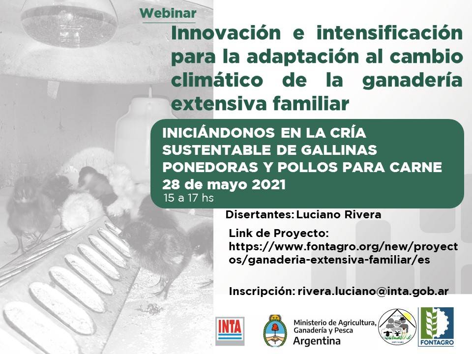 Webinar: “Iniciándonos en la cría sustentable de gallinas ponedoras y pollos para carne