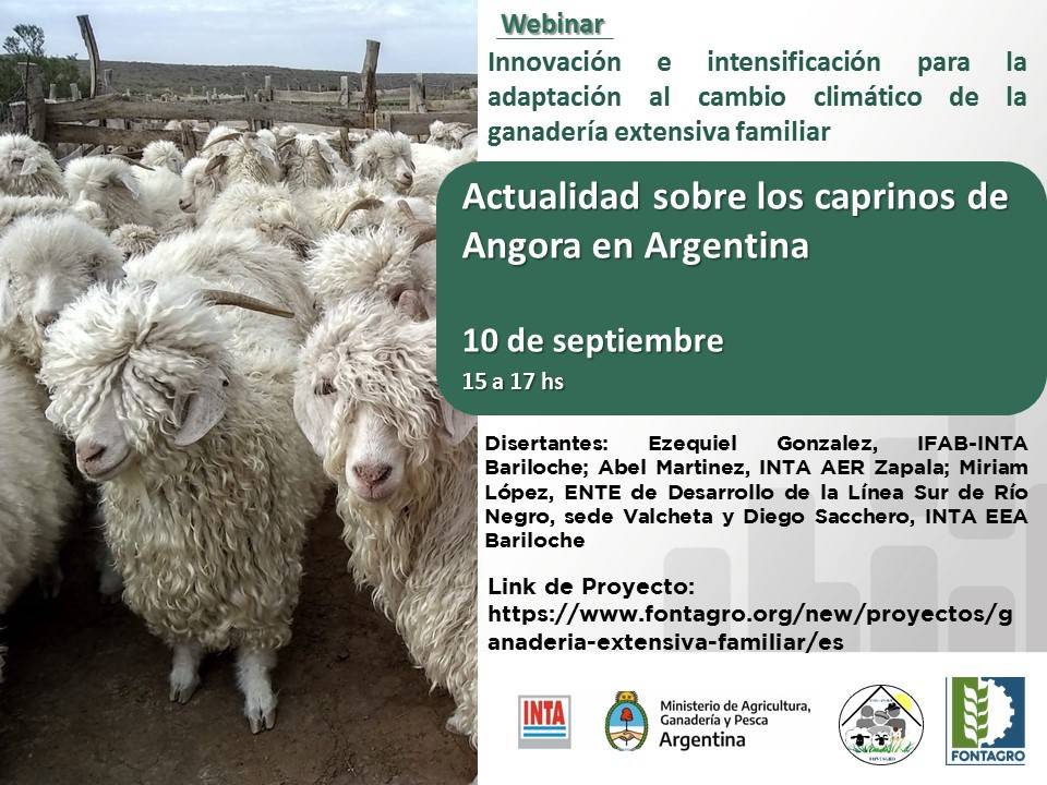 Webinar: News on Angora goats in Argentina