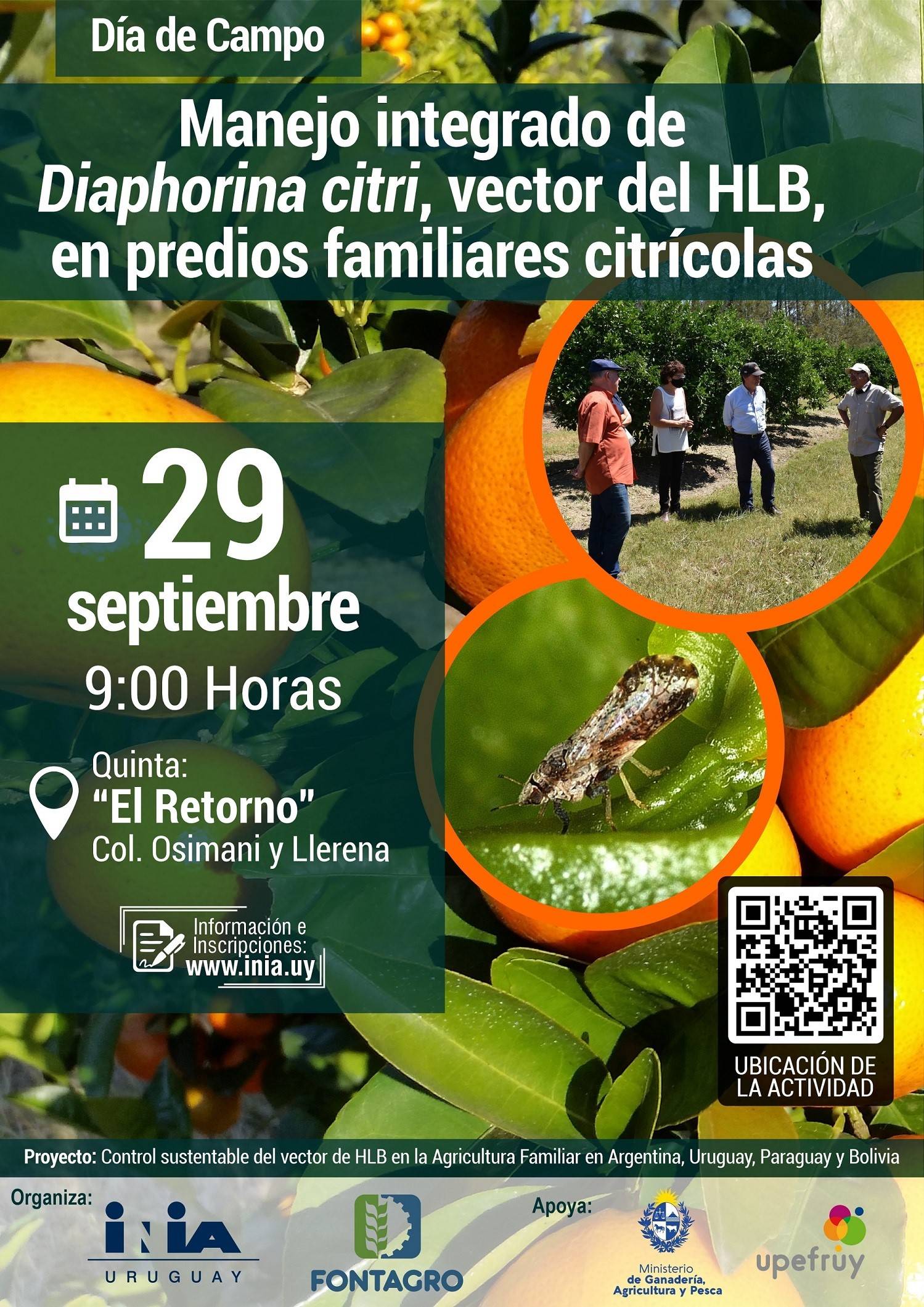 Día de campo sobre manejo de Diaphorina citri en Uruguay 