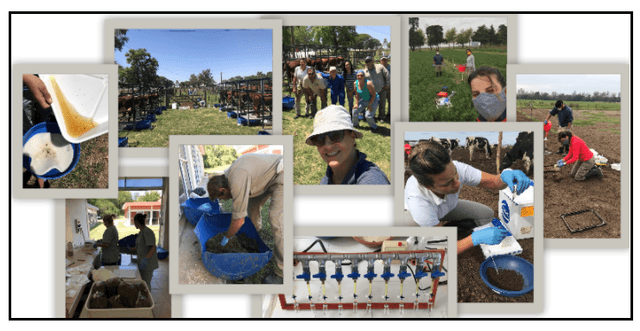 Throughout 2020, work continued to evaluate mitigation strategies for N<sub>2</sub>O emissions under different production systems