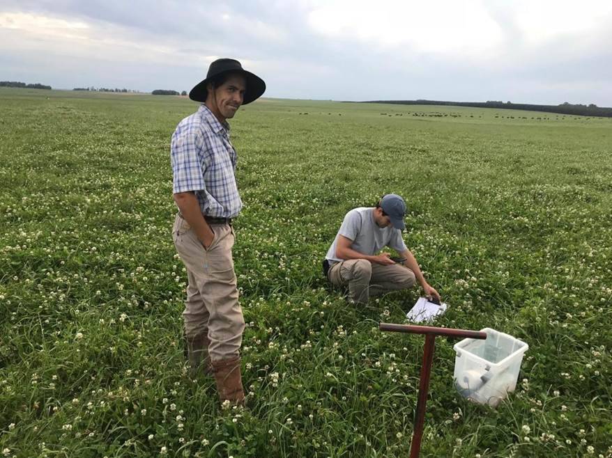 Activities carried out by INIA Uruguay in 2021