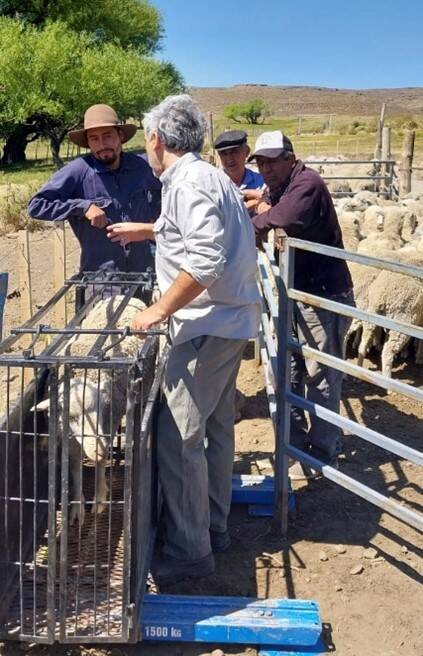 Advances in the Characterization of Innovation Units in the Mapuche Community of Nehuen Co