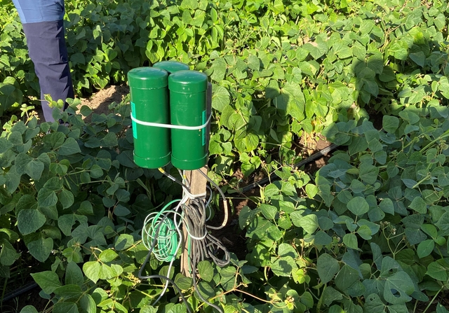 Test of soil moisture measurement prototypes in Honduras