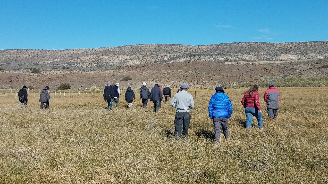 Workshop: Natural pastures and their use in extensive livestock farming