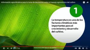 Información agroclimática para la toma de decisiones sobre el manejo agronómico del cultivo.
