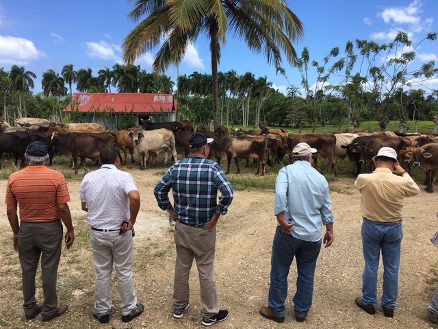 Curso de entrenamiento en modelación de sistemas lecheros y doble propósito