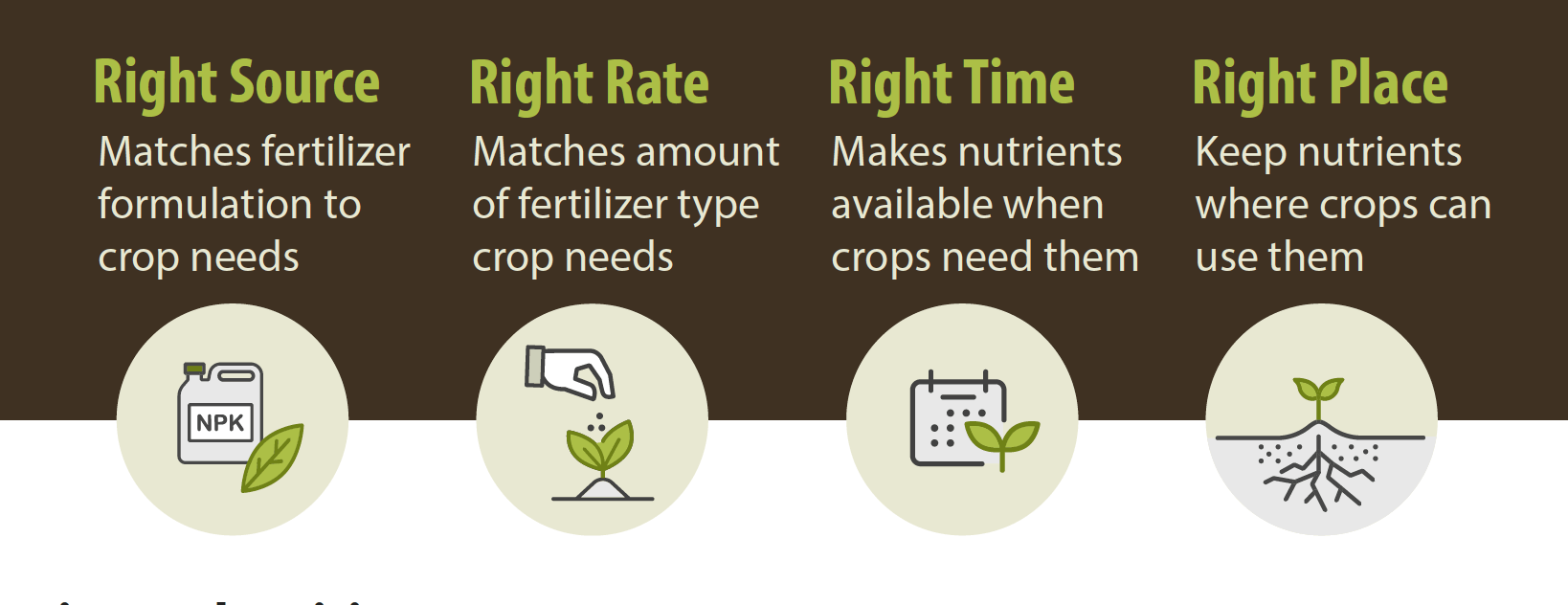 Best practices for nitrogen fertilizer use, N4Rs