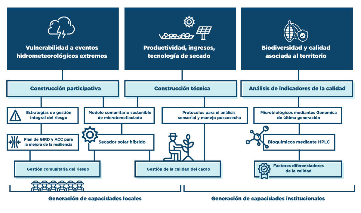 Project´s methodology