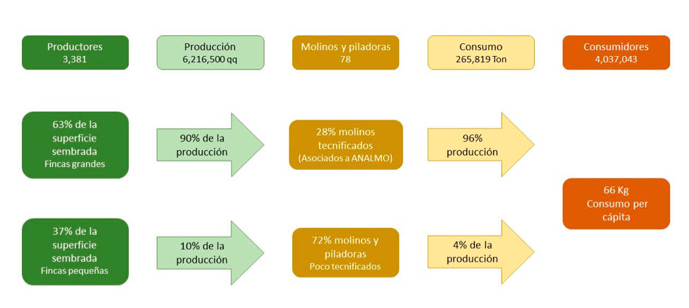 Cadena de valor del arroz en Panamá