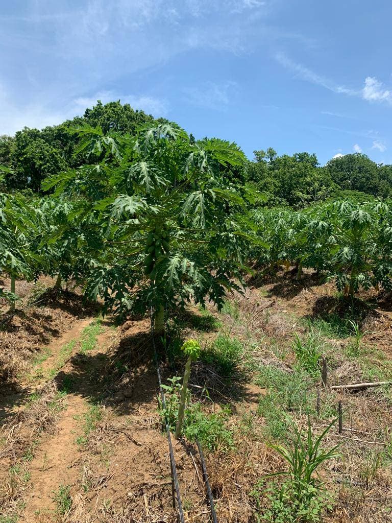 Capacitaciones Costa Rica