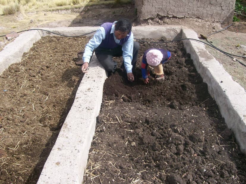 Preparación de humus de lombriz