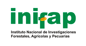  - México