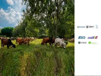 Sustainable livestock farming in the Amazon of Peru and Ecuador
