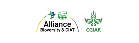 Alliance Bioversity International – CIAT, CGIAR
