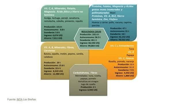 Foods produced, grouped by main nutrients (2019)