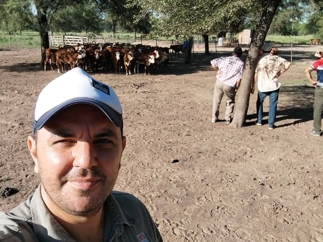 José Rodolfo Toffaletti