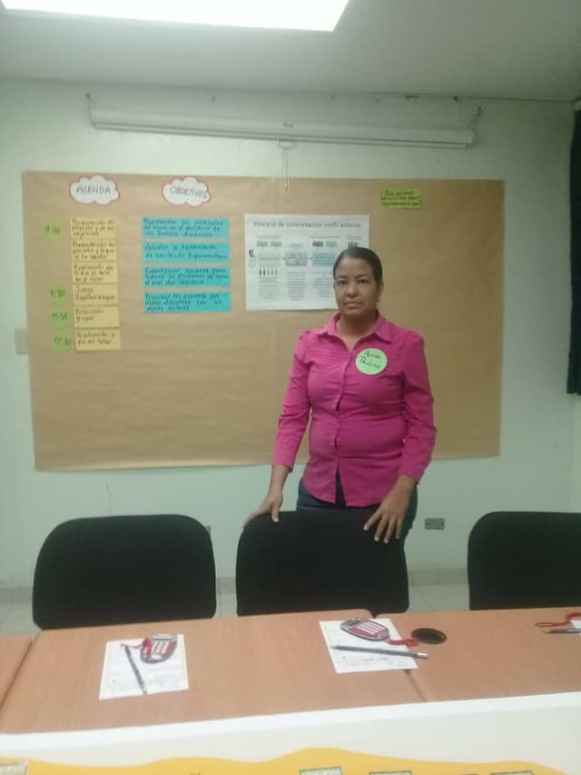 Aura del Carmen Paulino de la Rosa