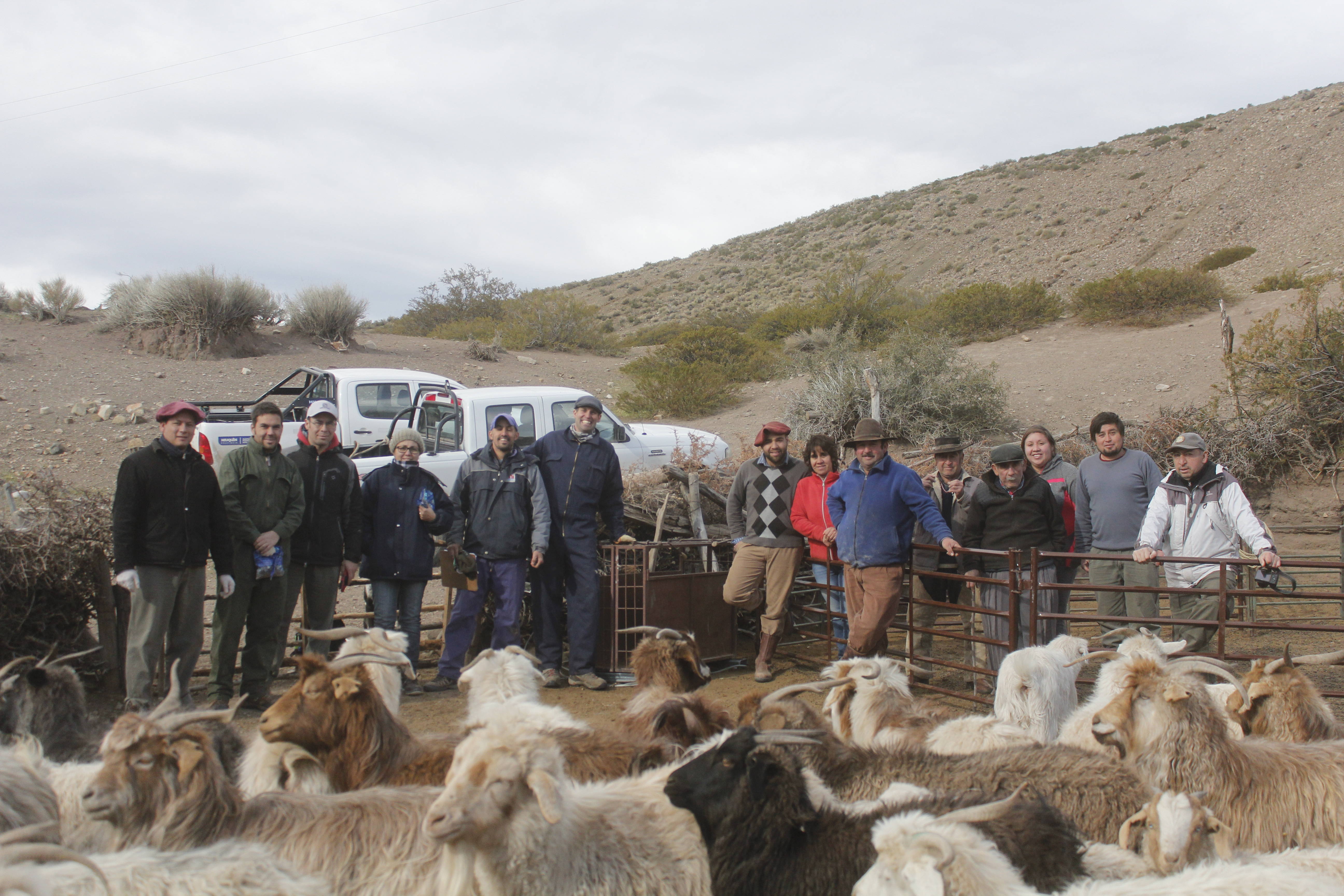 Winter inspection of animal condition