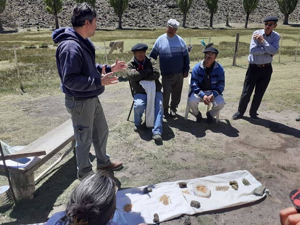 Training on Animal Nutrition. Weaning in sheep and cattle