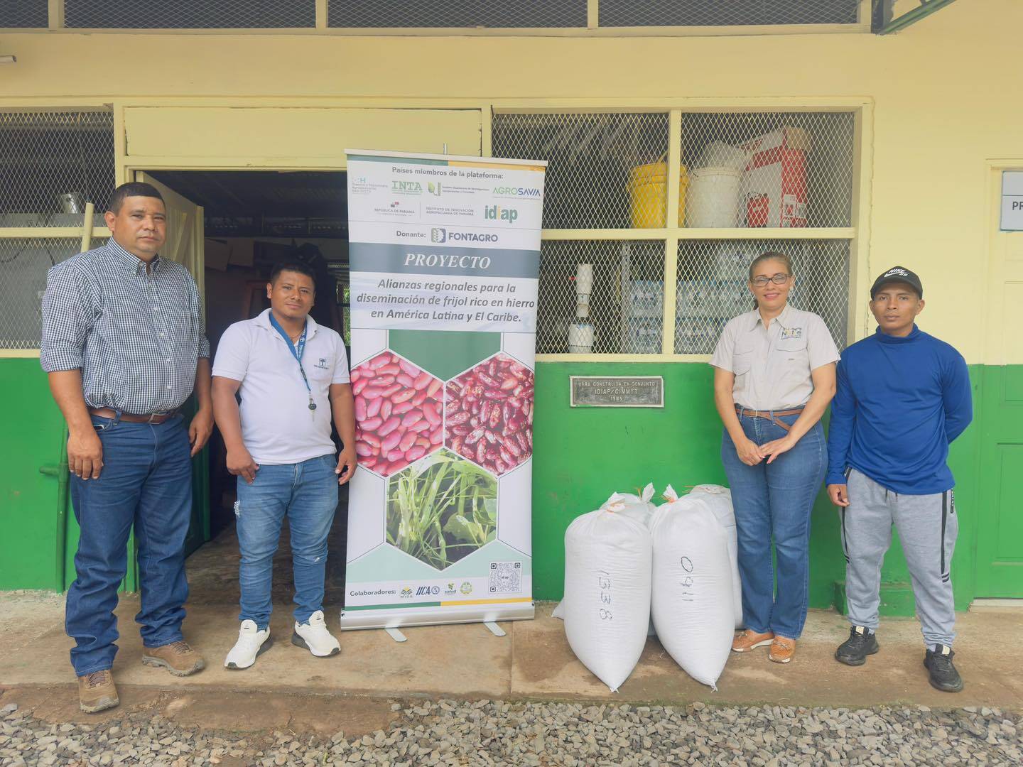Delivery of iron-rich bean seeds of the IDIAP-0911 and IDIAP-1338 varieties.
