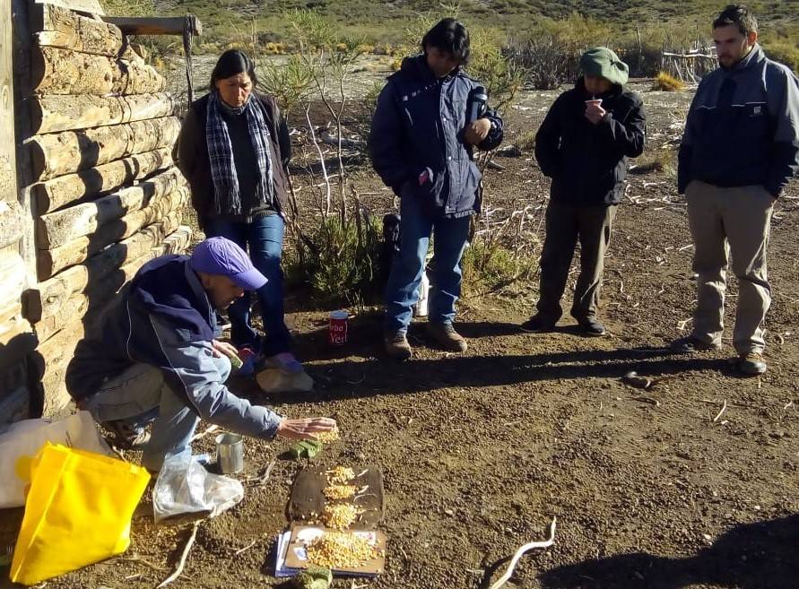 Animal Feeding Workshop