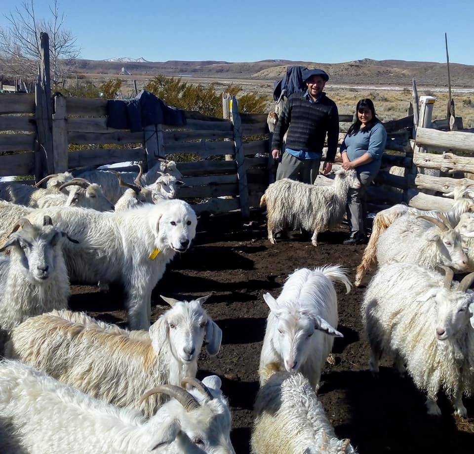 Prepartum measurement