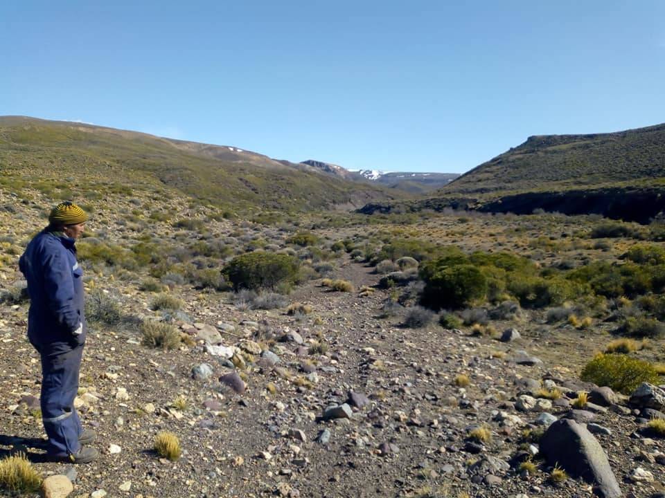 Visit to demonstration fields