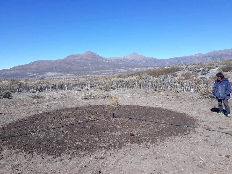 Sprinkler irrigation in Colipilli