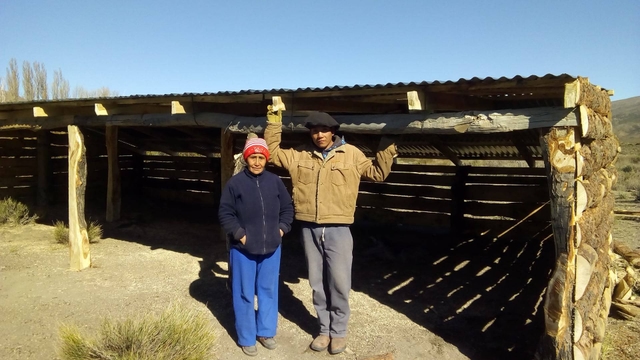 Construction of sheds